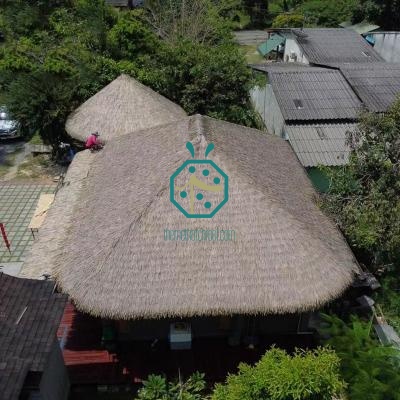 10 Years Warranty Artificial Alang Alang Thatch Roofing