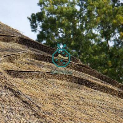 Fireproof Reed Thatch Roof for Park Qatar